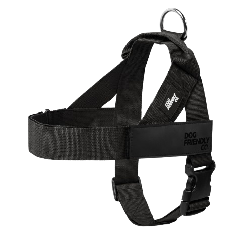 BuddyCollar - The Last Harness You’ll Ever Need